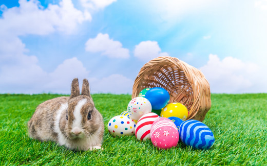 1326795 (a): :2880x1800